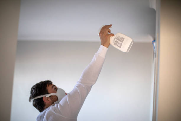 Best Health and Safety Mold Remediation in Mlstadt, IL